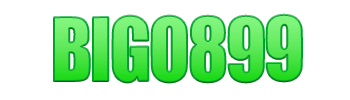 Logo BIGO899
